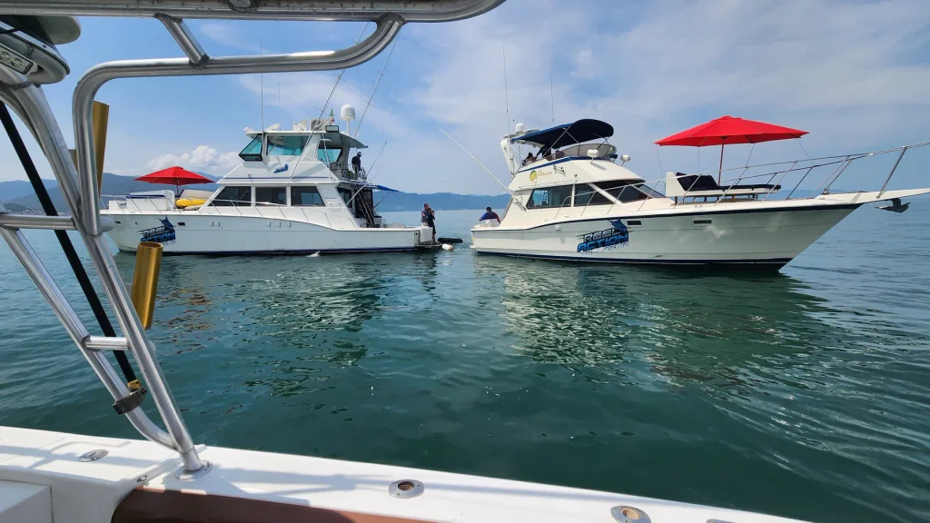 Reel Action sportfishing boats on Banderas Bay