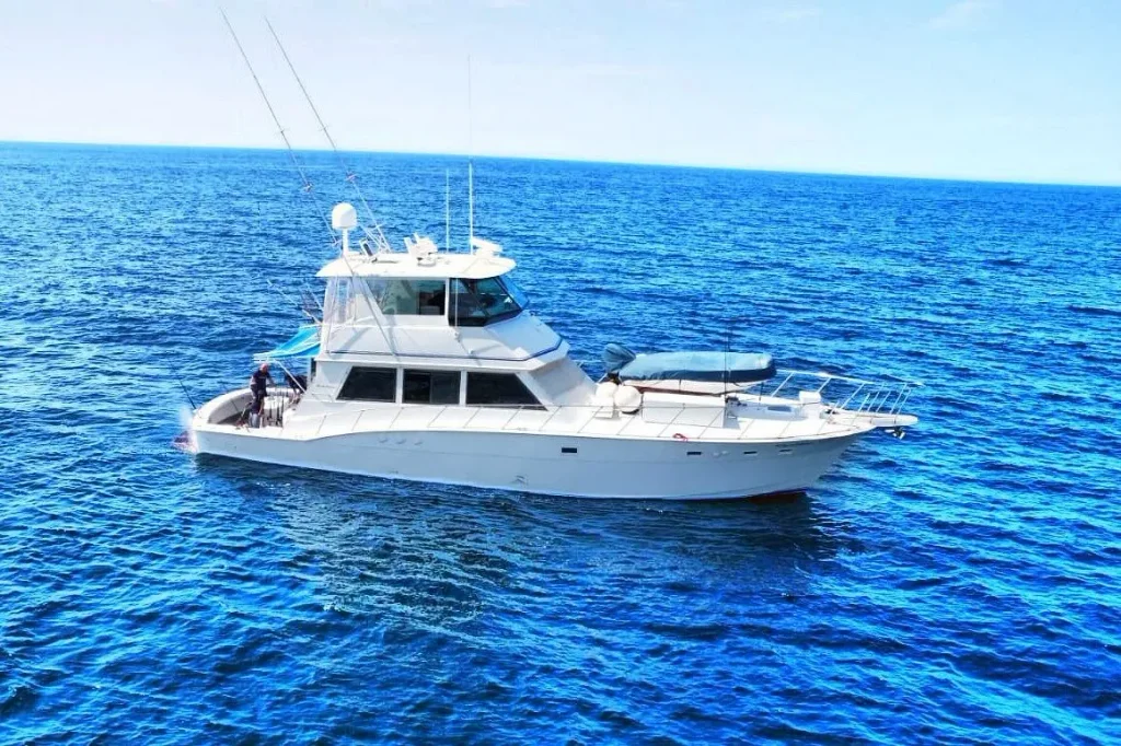 Reel Action on Banderas Bay