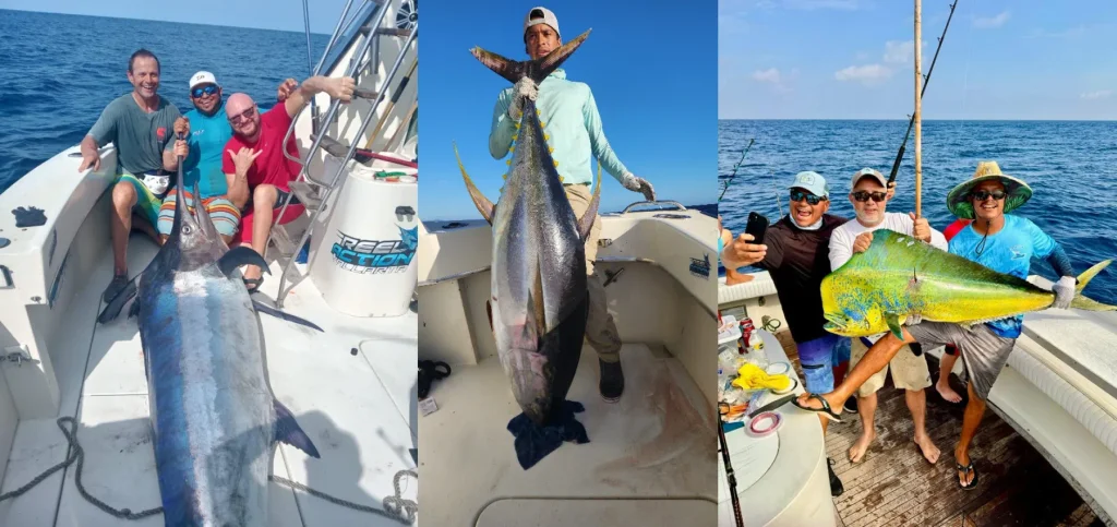 Sportfishing on Banderas Bay